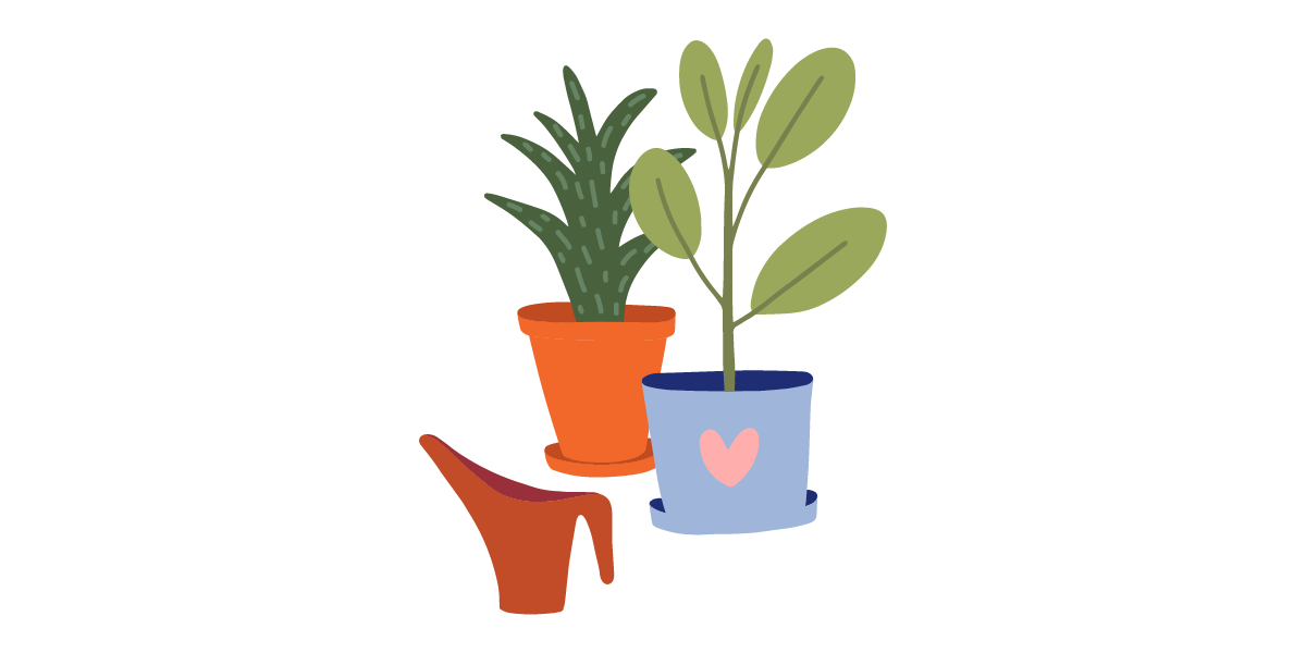 Conoce las plantas que mejor crecen en el clima donde resides