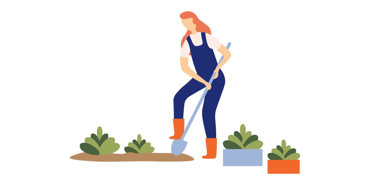 Busca plantas con necesidades similares