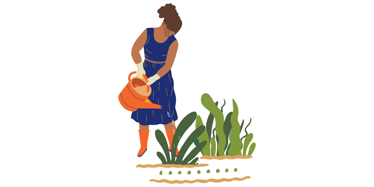 No ahogues tus plantas