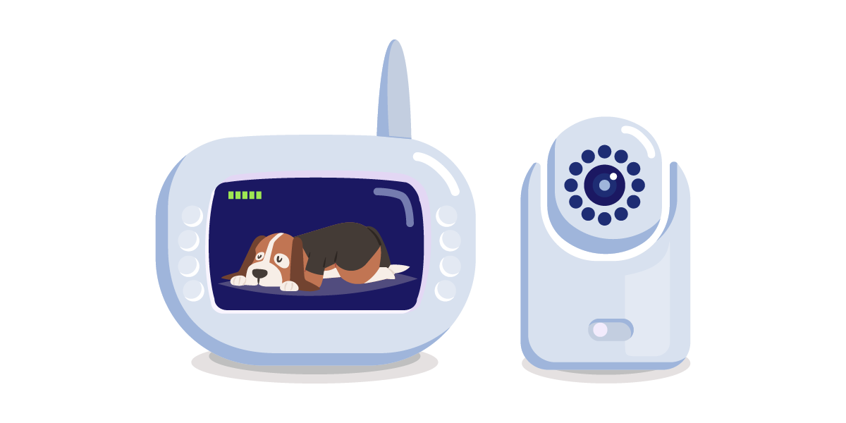 Gadget #5: Cámara Furbo