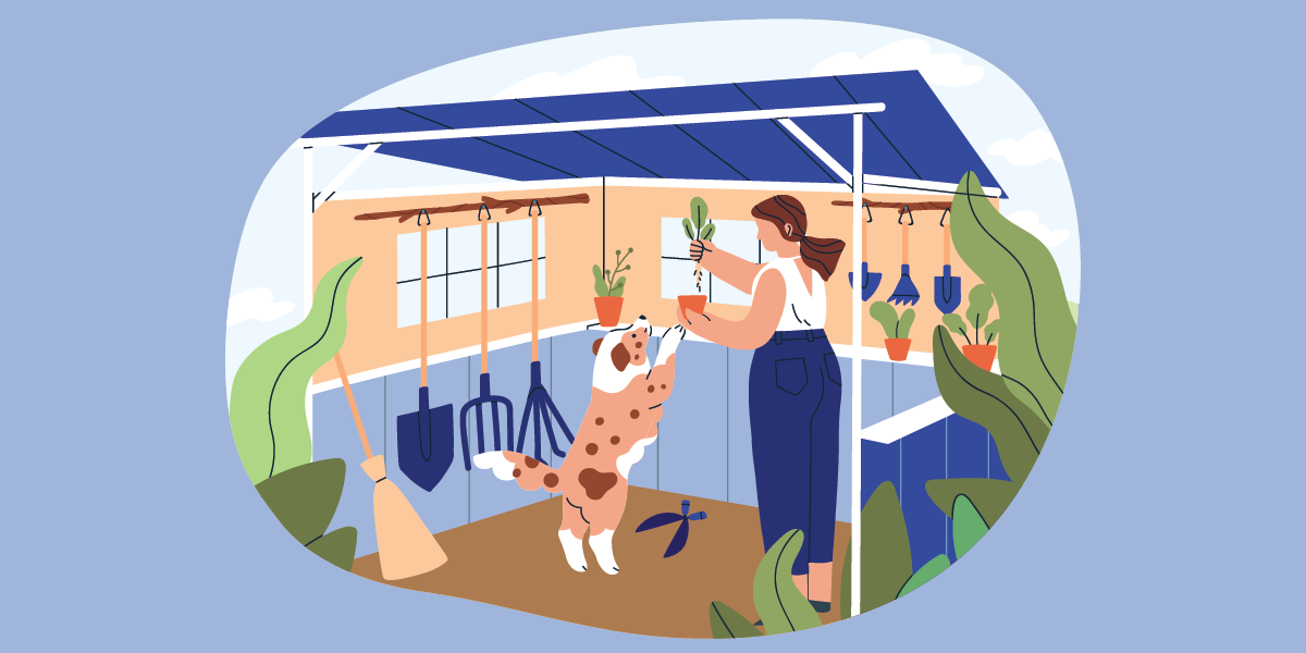 5 consejos para crear o renovar tu jardín